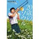 20歳のソウル(幻冬舎文庫) [文庫]