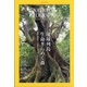 NATIONAL GEOGRAPHIC (ナショナル ジオグラフィック) 日本版 2021年 06月号 [雑誌]
