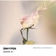 ENHYPEN／BORDER : 儚い