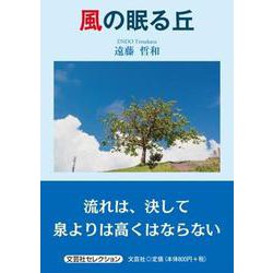 風の眠る丘 [単行本]