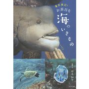 東京周辺!お茶目な海のいきもの [単行本]