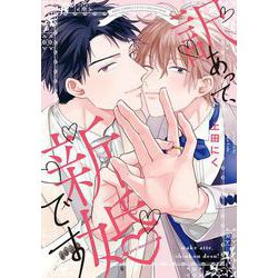 訳あって、新婚です(バーズコミックス　リンクスコレクション) [コミック]