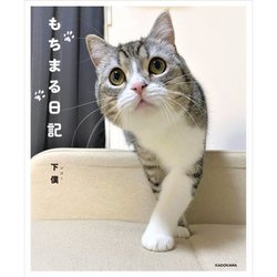 もちまる日記 [単行本]