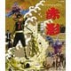 仮面の忍者 赤影 第四部「魔風篇」 [Blu-ray Disc]