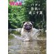 wan (ワン) 2021年 07月号 [雑誌]
