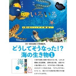 ヨドバシ Com どうしてそうなった 海の生き物 1 海の色 単行本 通販 全品無料配達