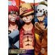 ONE PIECE ワンピース 20THシーズン ワノ国編 PIECE.21 [DVD]