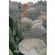 ホツマ日本の歴史物語〈1〉「アワウタ」の秘密 [単行本]
