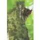 鳥好きの独り言 [単行本]