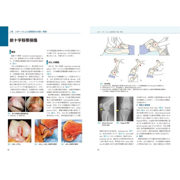 下肢のスポーツ外傷・障害（大腿・膝関節・下腿・足関節・足部）<第3巻 