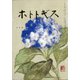 ホトトギス 2021年 07月号 [雑誌]