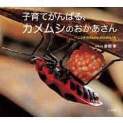 子育てがんばる、カメムシのおかあさん―ベニツチカメムシとボロボロノキ(小学館の図鑑NEOの科学絵本) [絵本]