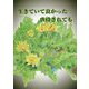生きていて良かった虐待されても [単行本]