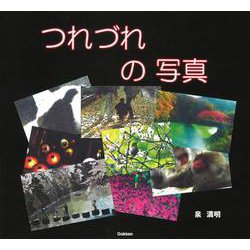 つれづれの写真 [単行本]