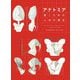 アナトミア―描くための人体の構造 [全集叢書]