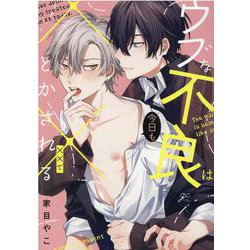 ウブな不良は今日も××でとかされる（gateauコミックス） [コミック]