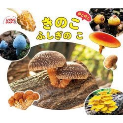 きのこのこのこふしぎのこ(しぜんにタッチ!) [絵本]
