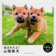 生まれたよ！山陰柴犬 [絵本]