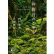 神在月のこども(講談社文庫) [文庫]