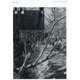 未来 2021年 07月号 [雑誌]