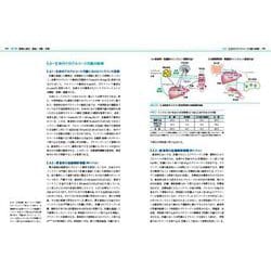 ヨドバシ.com - エッセンシャル栄養化学(KS農学専門書) [単行本] 通販