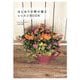 はじめての寄せ植えレッスンBOOK [単行本]