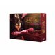 ルパンの娘(2020) DVD-BOX [DVD]