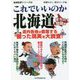 これでいいのか北海道 まちの問題編(地域批評シリーズ〈64〉) [文庫]