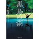 黒鳥の湖(祥伝社文庫) [文庫]