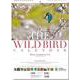 日本野鳥の会ワイルド・バードカレンダー2022 [カレンダー]