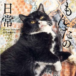 もんたの日常 [単行本]