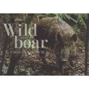 Wild boar―知られざるイノシシの「棲」 [単行本]
