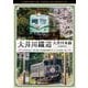 大井川鐵道 大井川本線 4K撮影作品 21000系 金谷～千頭 往復 / E10形電気機関車『ELさくら号』 新金谷～家山 (ビコム ワイド展望 4K撮影作品) [DVD]
