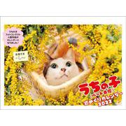 2022 うちの子ペット自慢週めくりカレンダー [カレンダー]
