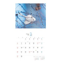 ヨドバシ Com まんまるかわいい雪の妖精 シマエナガちゃん Calendar 22 単行本 通販 全品無料配達