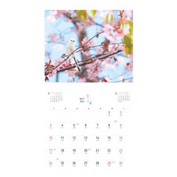 ヨドバシ Com まんまるかわいい雪の妖精 シマエナガちゃん Calendar 22 単行本 通販 全品無料配達