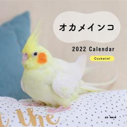 ヨドバシ Com 22年 カレンダー オカメインコ 100名様に1 000円分の図書カードをプレゼント 誠文堂新光社カレンダー ムックその他 通販 全品無料配達