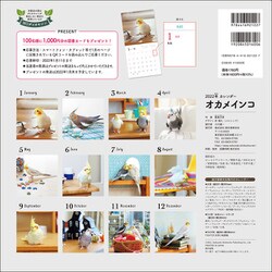 ヨドバシ Com 22年 カレンダー オカメインコ 100名様に1 000円分の図書カードをプレゼント 誠文堂新光社カレンダー ムックその他 通販 全品無料配達