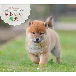 ヨドバシ Com 22年 カレンダー かわいい柴犬 誠文堂新光社カレンダー ムックその他 通販 全品無料配達