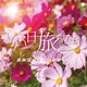 いい日旅立ち オルゴールコレクション