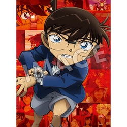 劇場版 名探偵コナン 緋色の弾丸 [DVD]