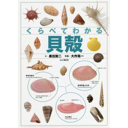 くらべてわかる貝殻 [単行本]