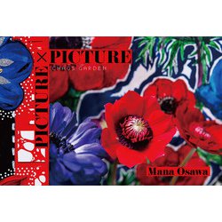 PICTURE×PICTURE [単行本]