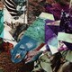 Merzbow／Sugamo Flower