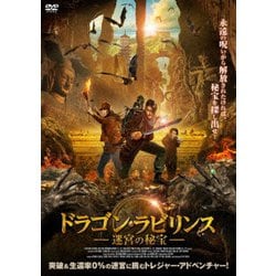 ドラゴン・ラビリンス 迷宮の秘宝 [DVD]