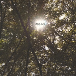 緋乃◯カレーパン／樹海の空