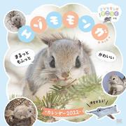 まるっともふっと かわいいエゾモモンガ カレンダー 2022(翔泳社カレンダー) [単行本]