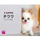 I LOVE チワワカレンダー2022 [カレンダー]