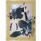 ヴァニタスの手記 7 [Blu-ray Disc]