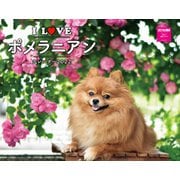 I LOVE ポメラニアンカレンダー2022 [カレンダー]